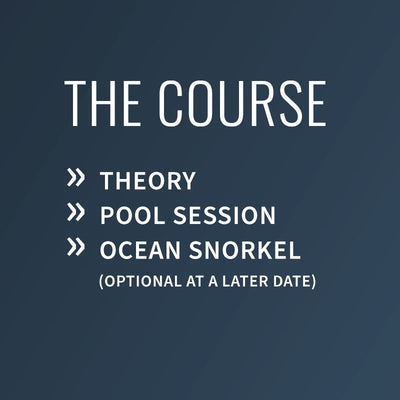 Advanced Snorkelling Course Course PADI